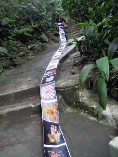 2012 riometrart 240